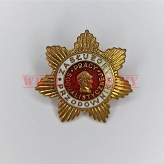 Zasłużony Przodownik Pracy Socjalistycznej złota odznaka 